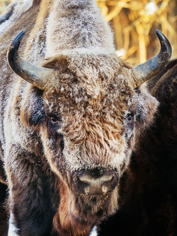 Фотография автора Петр Богомазов