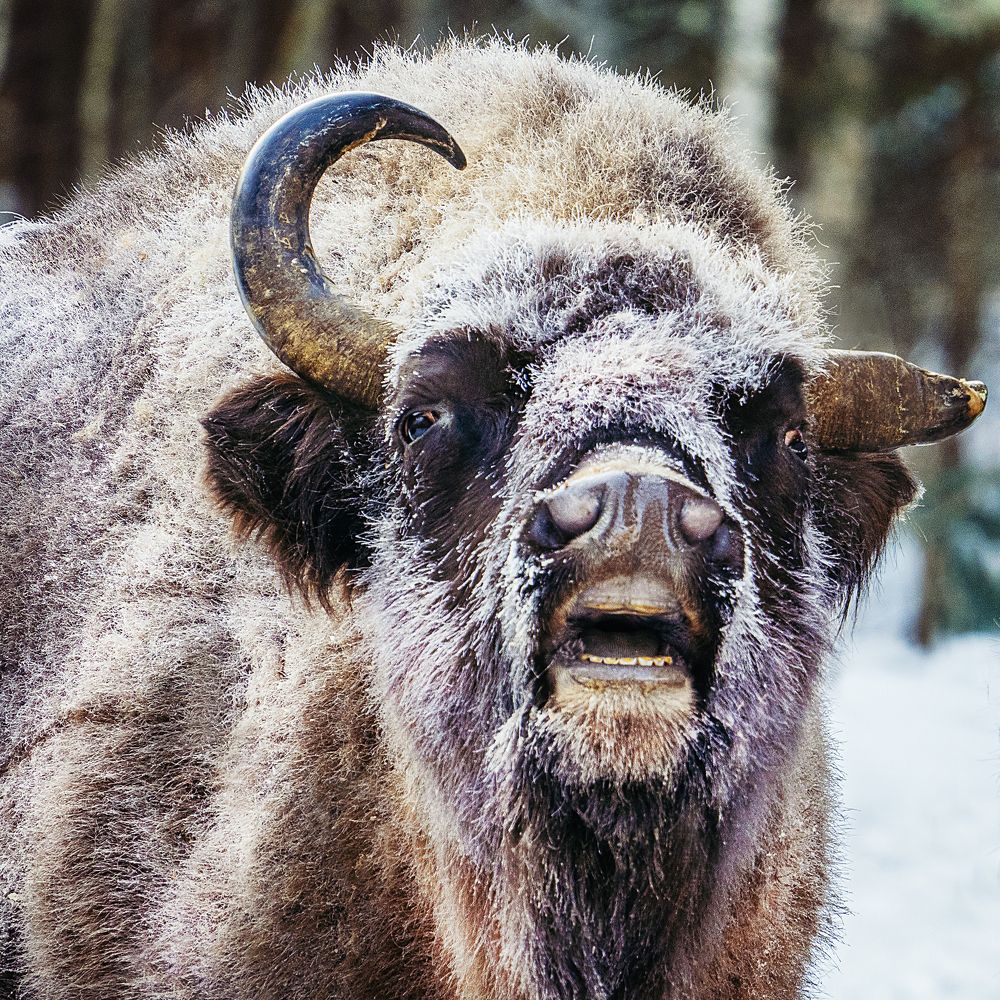 Фотография автора Петр Богомазов