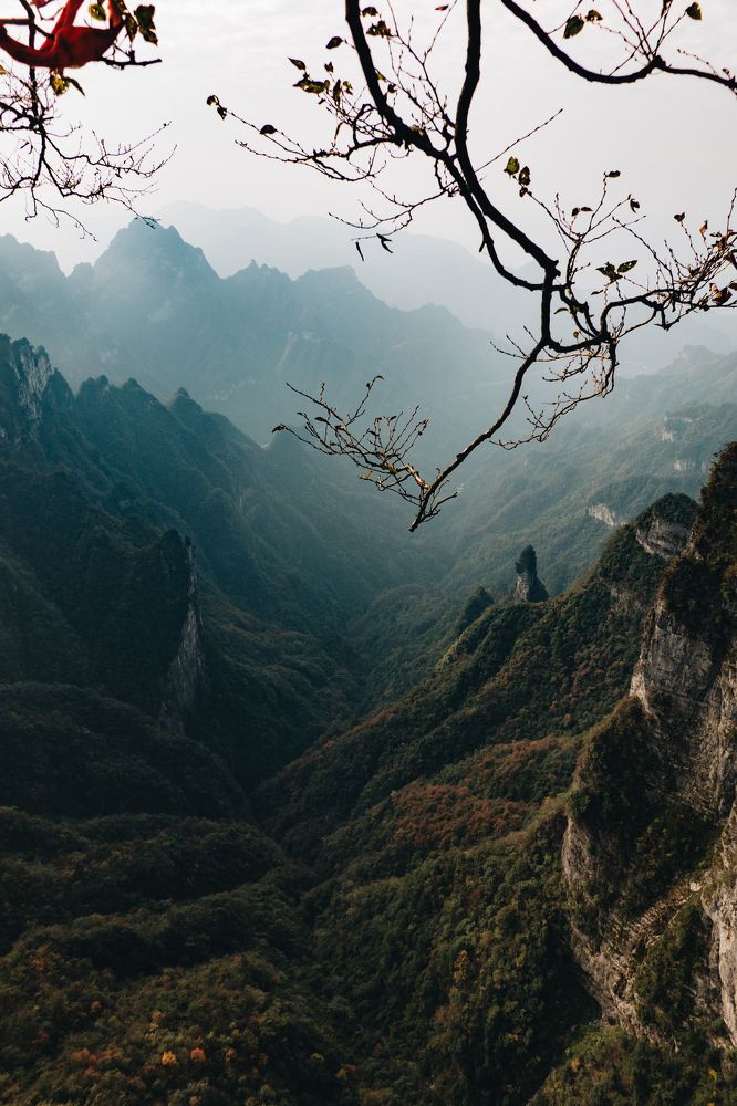 Photograph by Gansukh Sukhbaatar