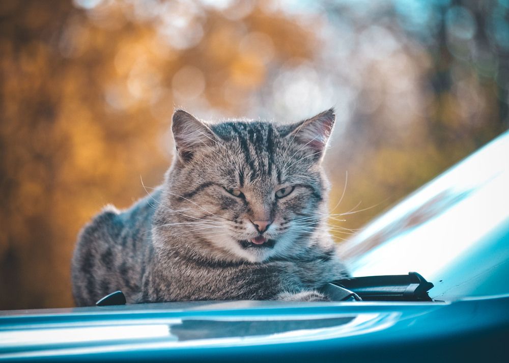 Photograph by Катерина Сорокина