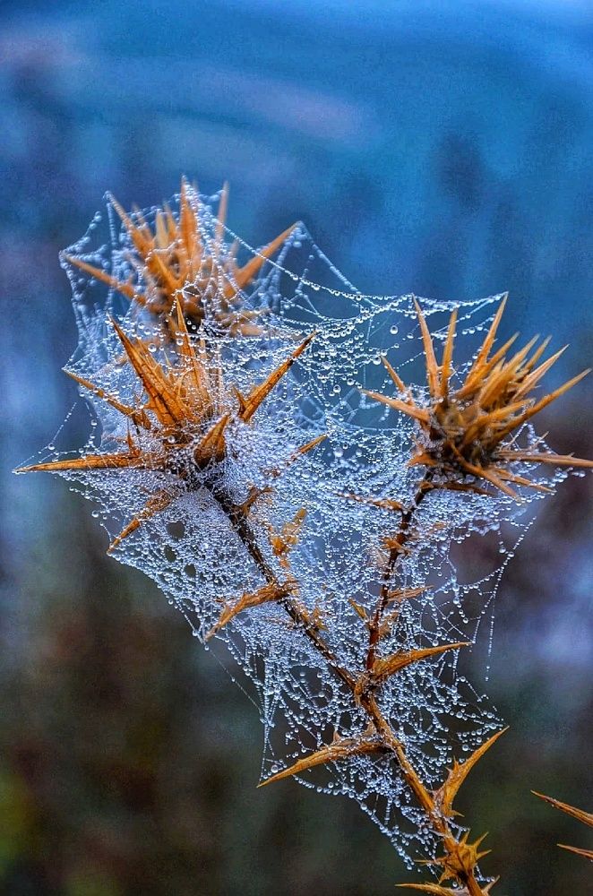 Photograph by Зыкова Мария