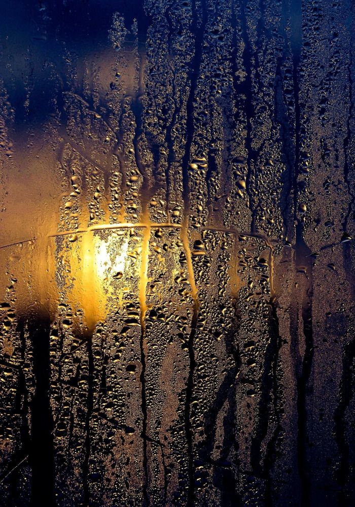 Photograph by Зыкова Мария