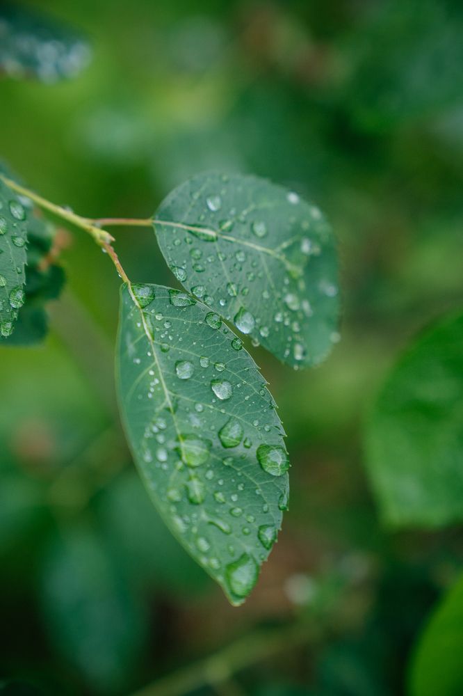 Photograph by Натали Захарова (Тай)