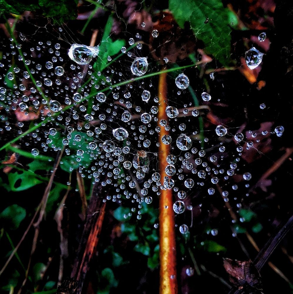 Photograph by Елена Артёменко