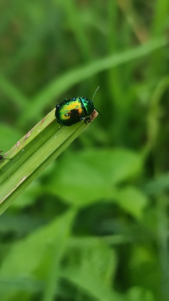 Photograph by Ирина Подлубная