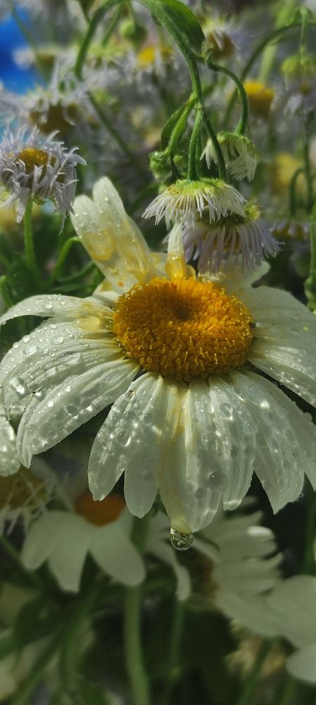 Photograph by Ирина Подлубная