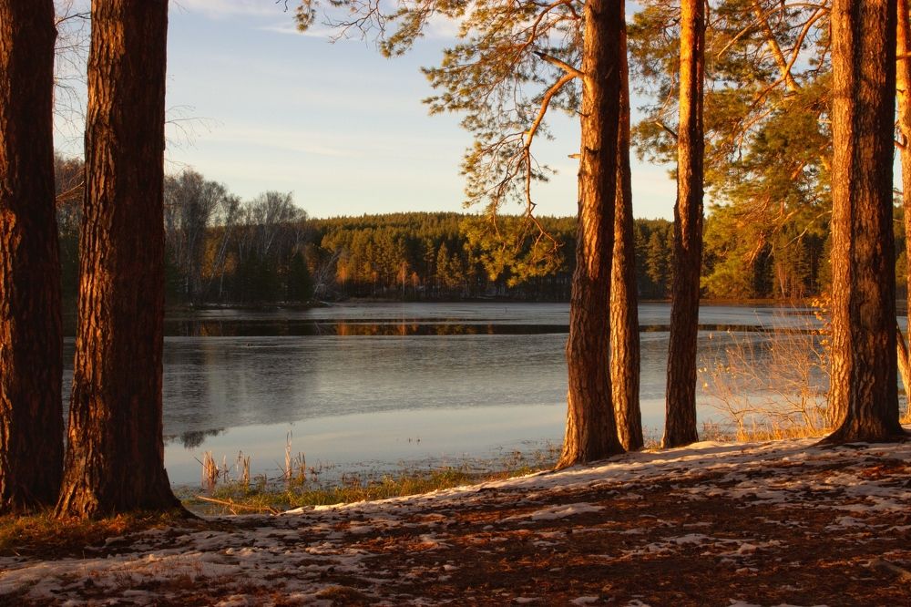 Фотография автора Дмитрий Грехов