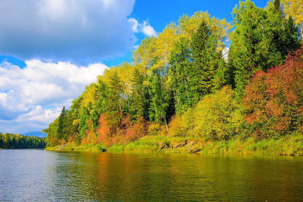 Осень на таёжной реке.