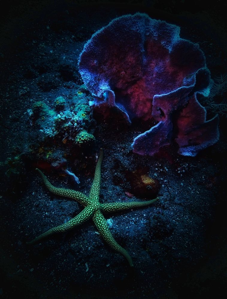 Photograph by Кирилл Леднев