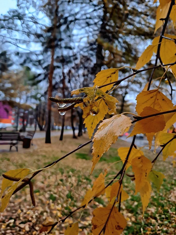 Photograph by Александра Насырова