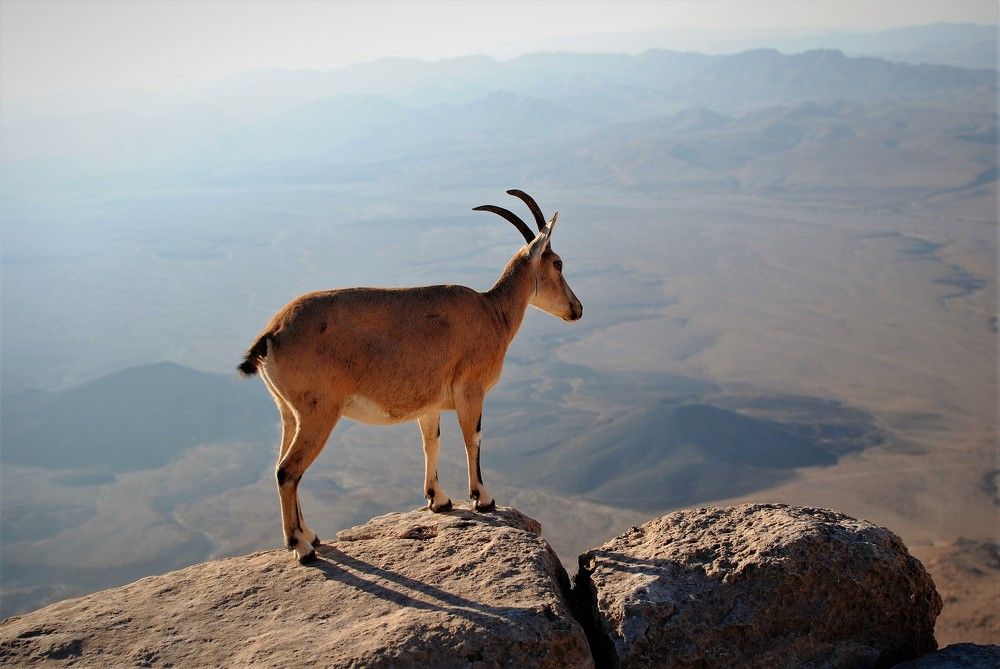 Photograph by Галина Гершман