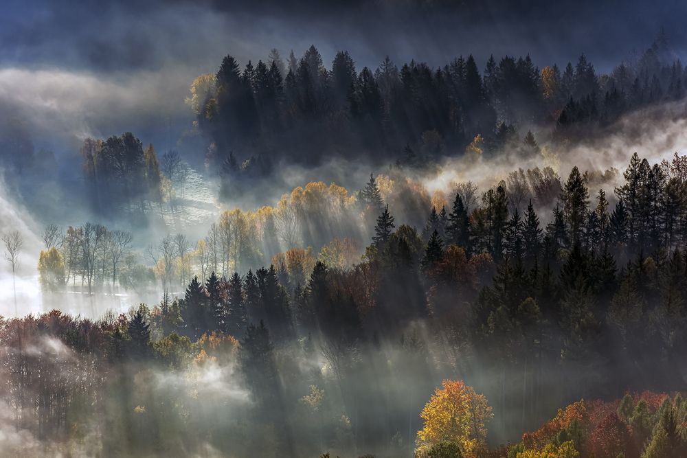 In the glow of the rising sun