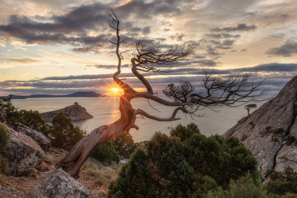 Photograph by Дмитренко Екатерина