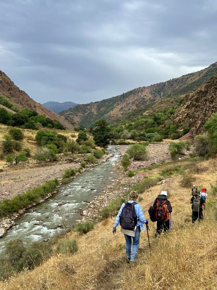 Photograph by Елена Шкред