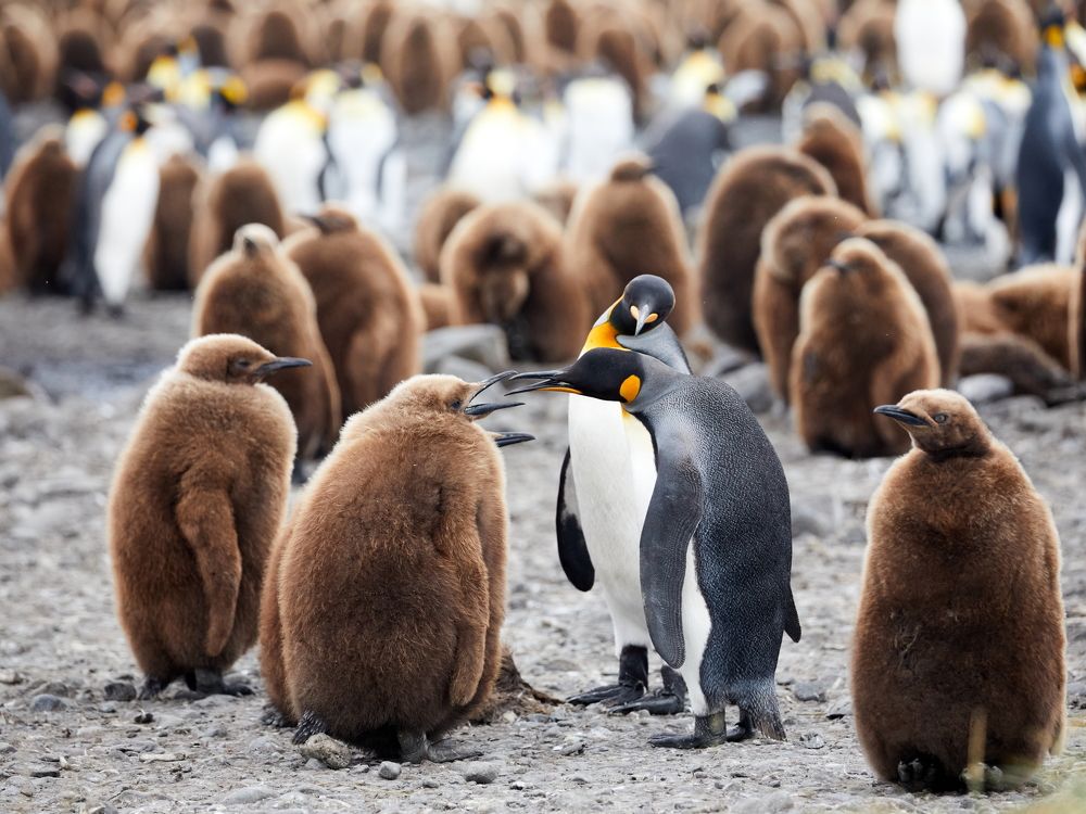 Фотография автора Boris Konovalov