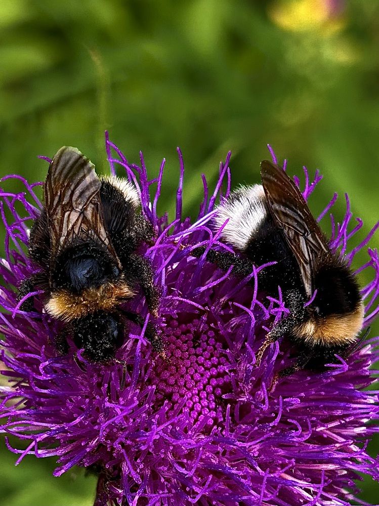 Photograph by Yulia Kotova