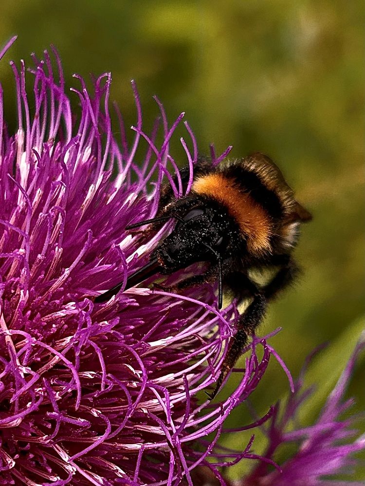 Photograph by Yulia Kotova