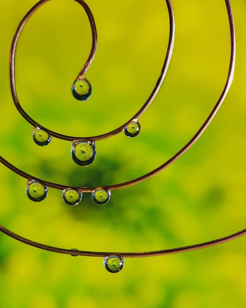 Photograph by Анна Чичилова