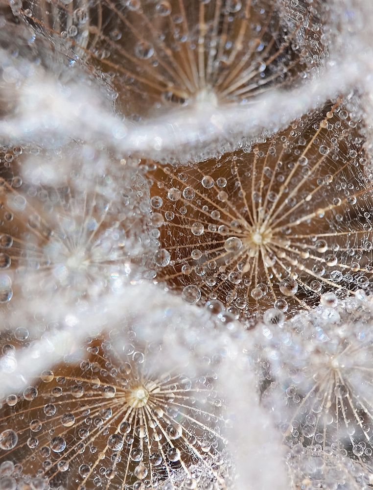 Photograph by Анна Чичилова