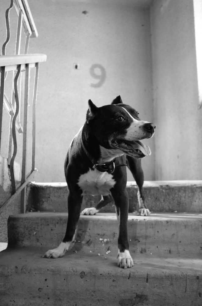 На 9 году жизни