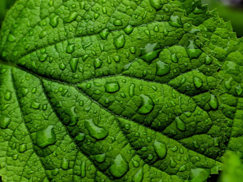 Фотография автора Ольга Беликова