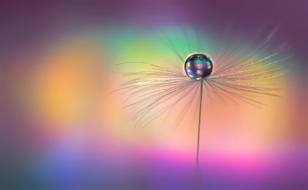 Photograph by Тараненко Анжелика