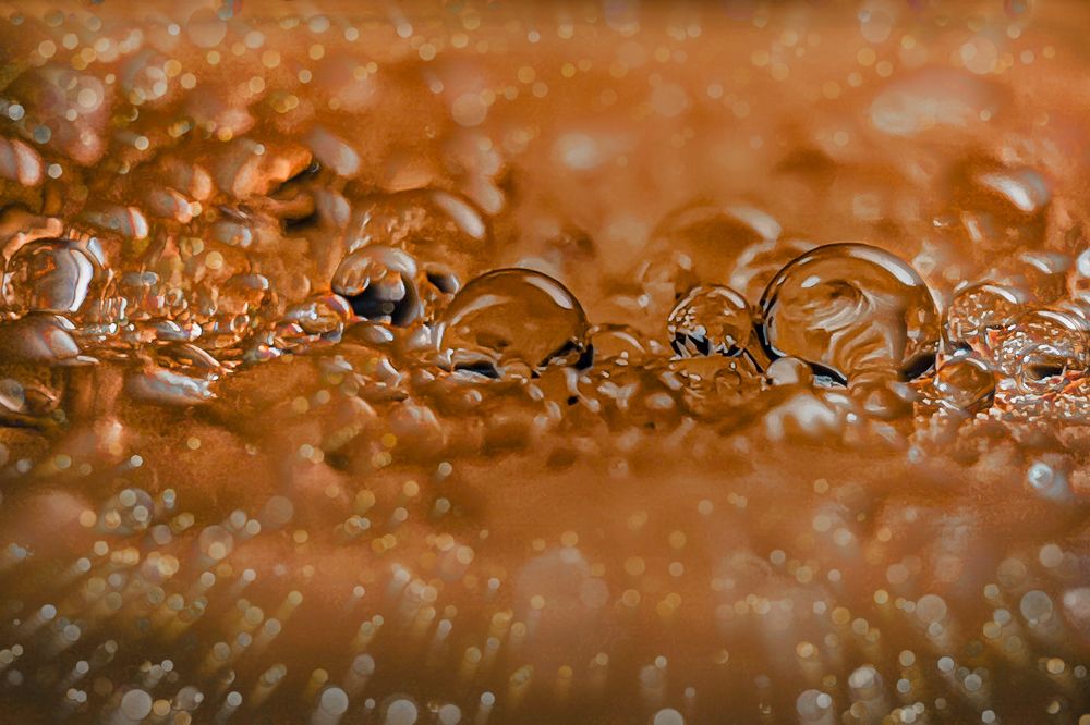 Photograph by Anya Lo