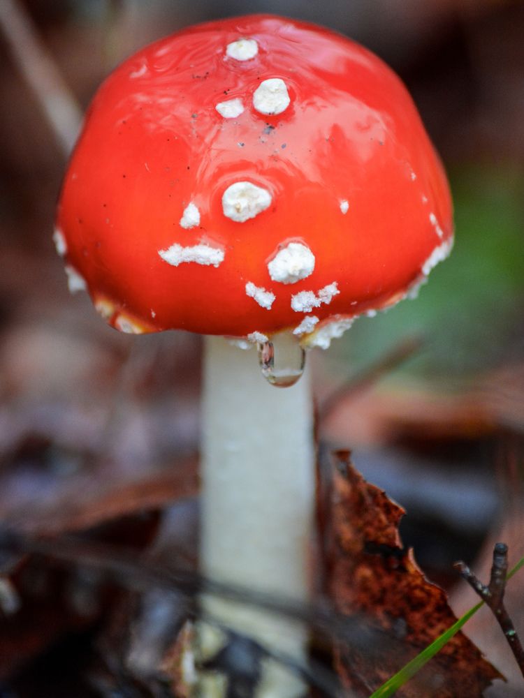 Photograph by Анастасия Гурова