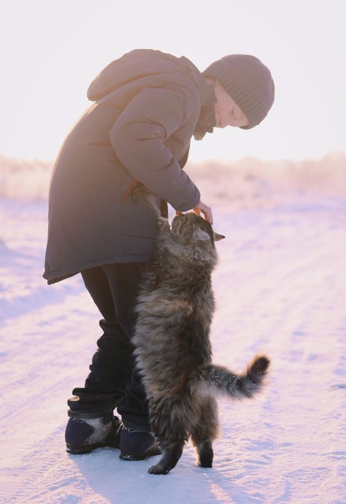 Photograph by Екатерина Шлехт