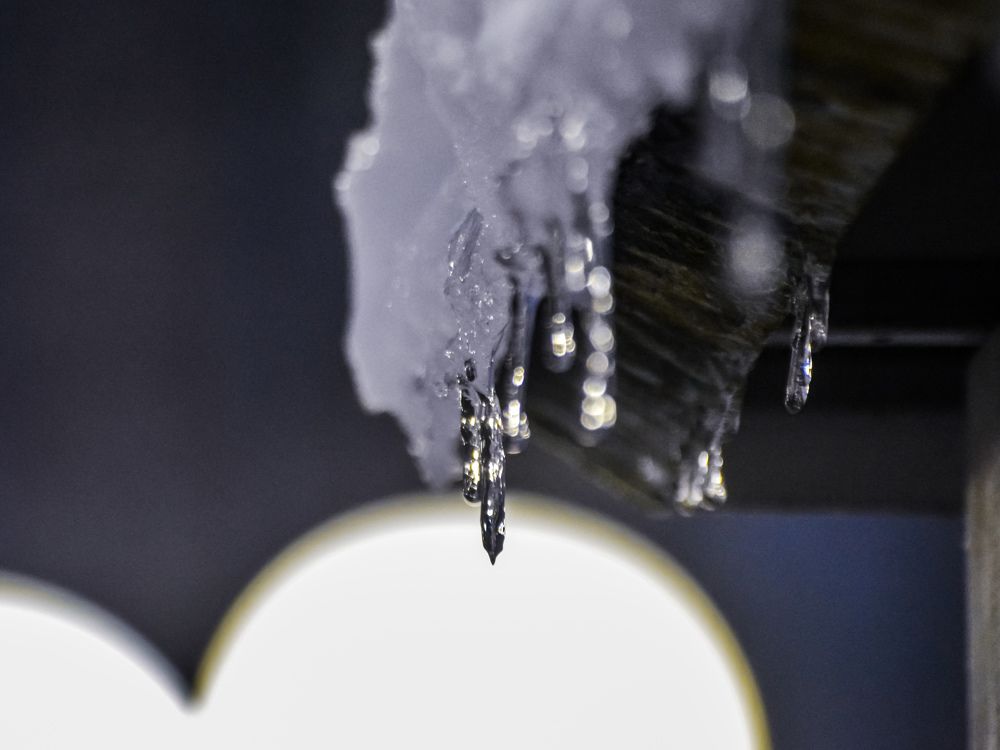 Photograph by Анастасия Гурова