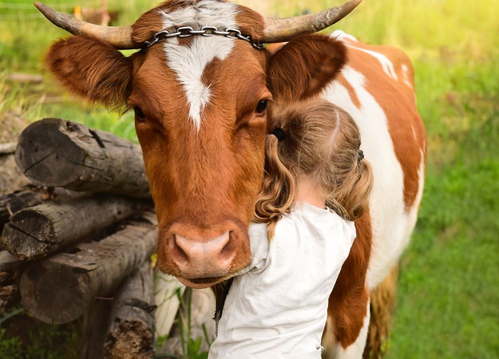 Photograph by Екатерина Шлехт