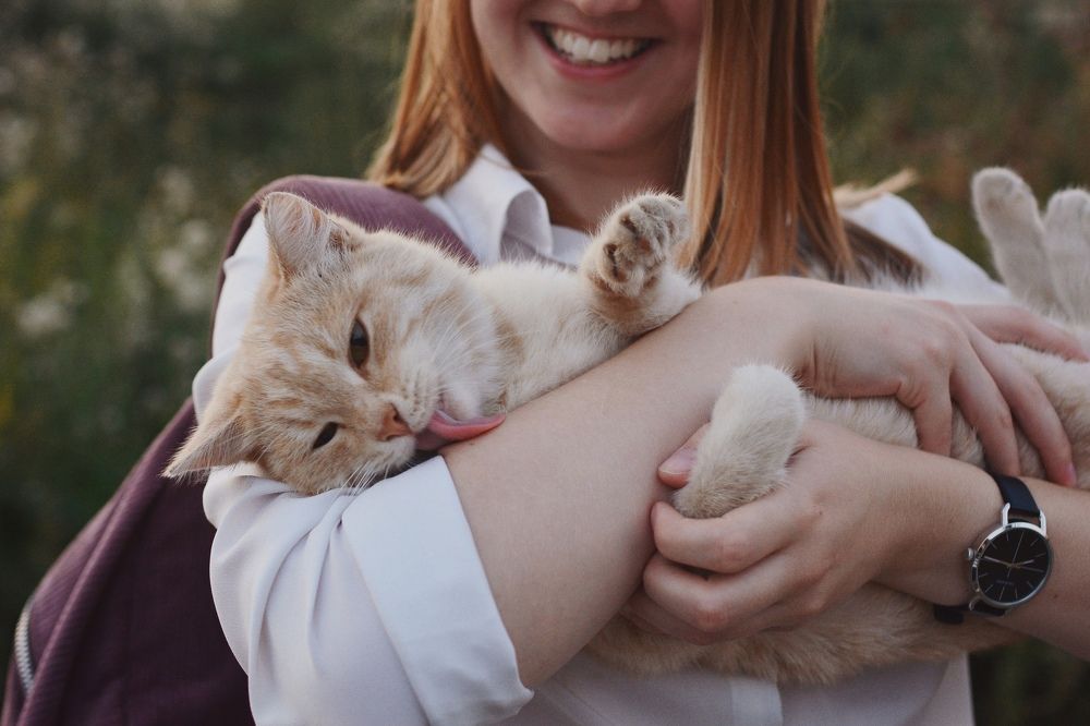 Photograph by Екатерина Шлехт