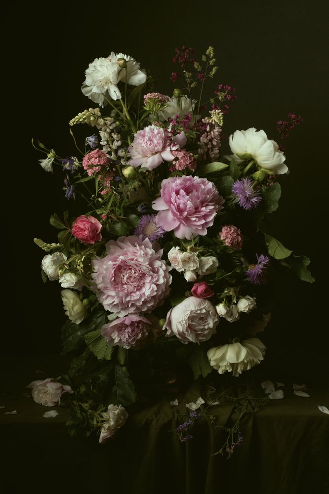 Фотография автора Марина Красовская