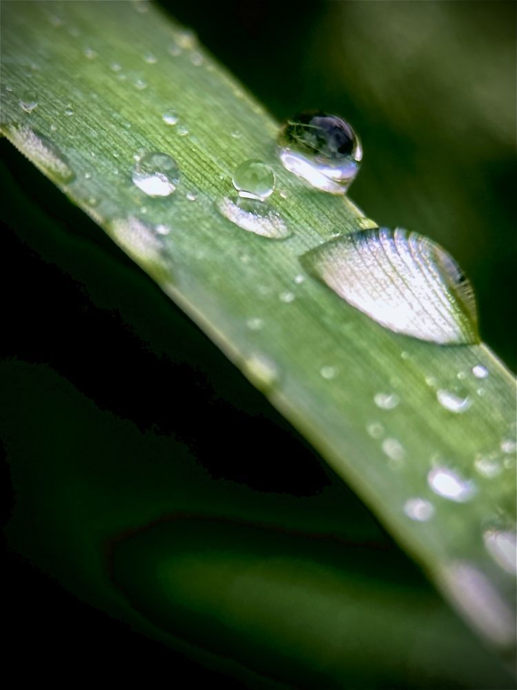 Photograph by Елена Шкред