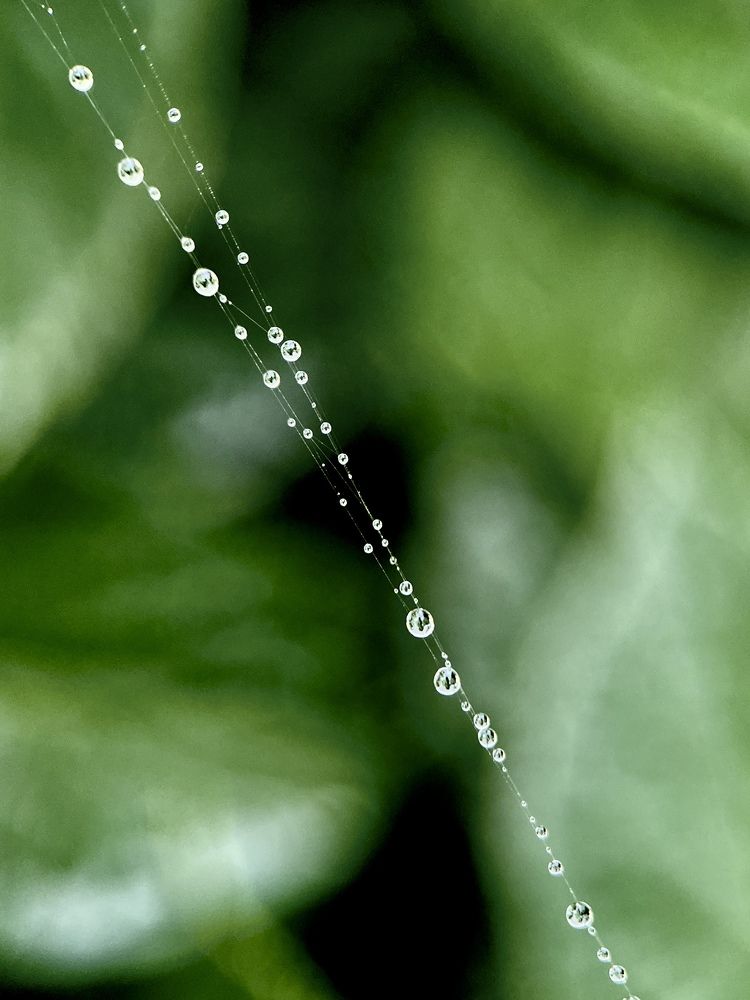 Photograph by Елена Шкред