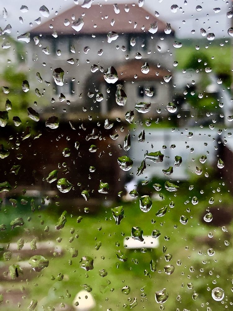 Photograph by Елена Шкред