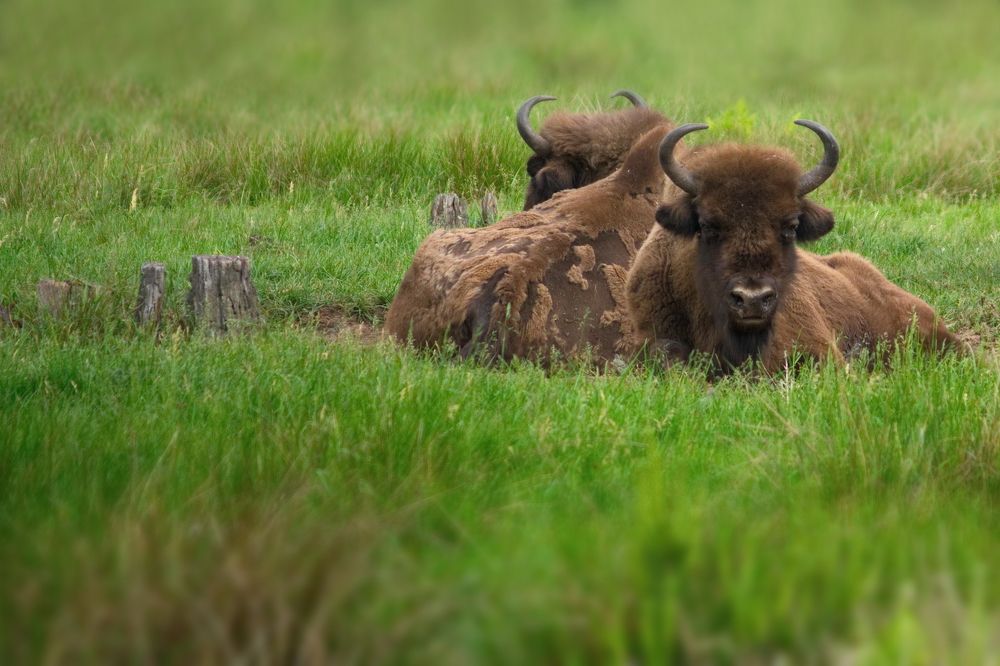 Photograph by Виктор Гурков