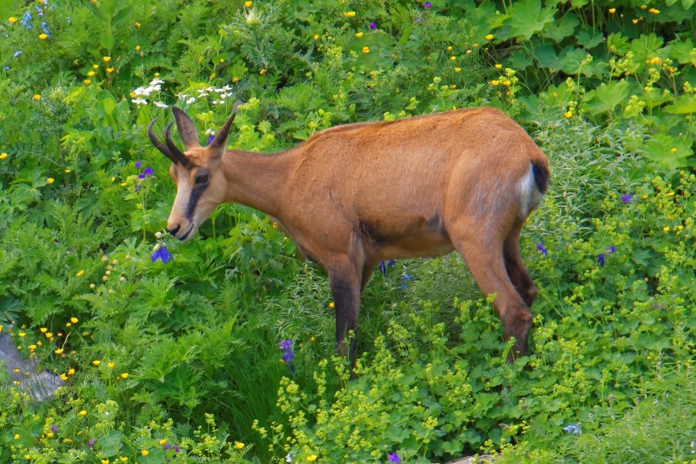 Photograph by Антон Громов