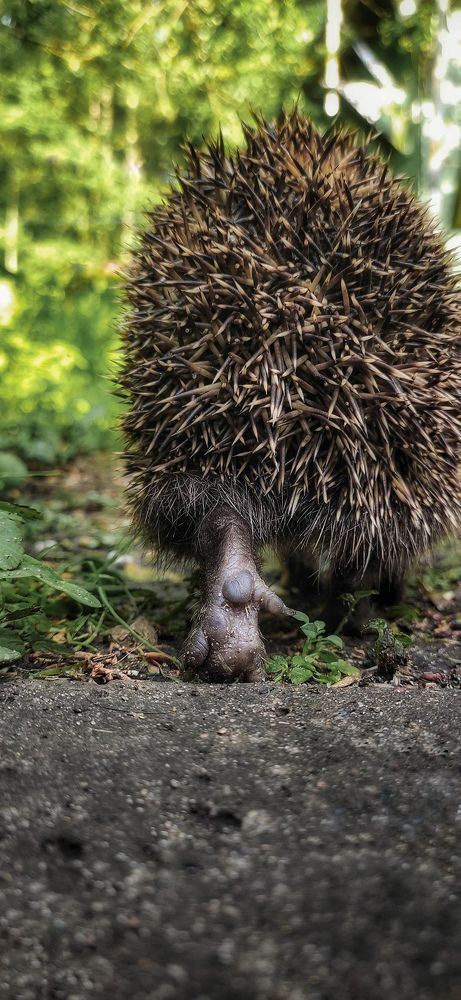 Фотография автора Обидина Мария