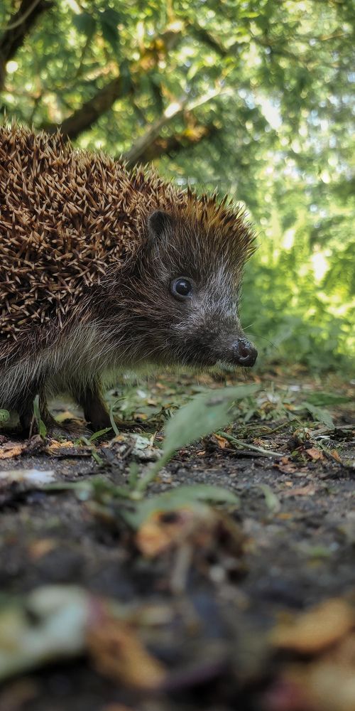 Фотография автора Обидина Мария