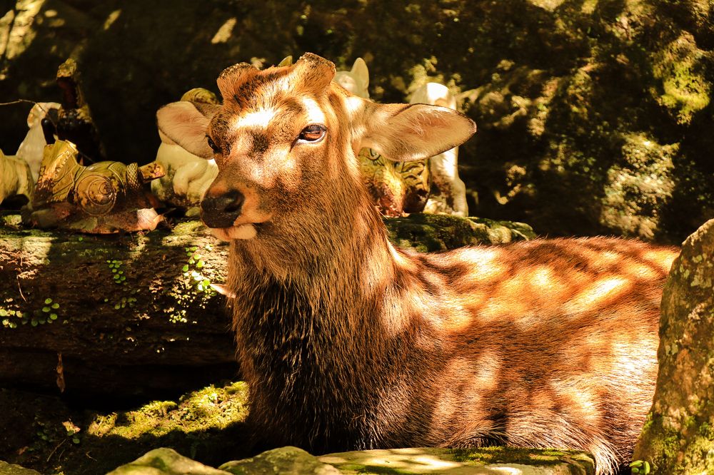 Photograph by Валерия Лунина