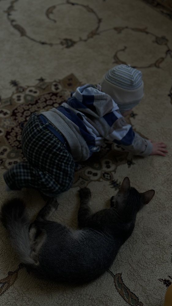 Photograph by Светлана Родионова