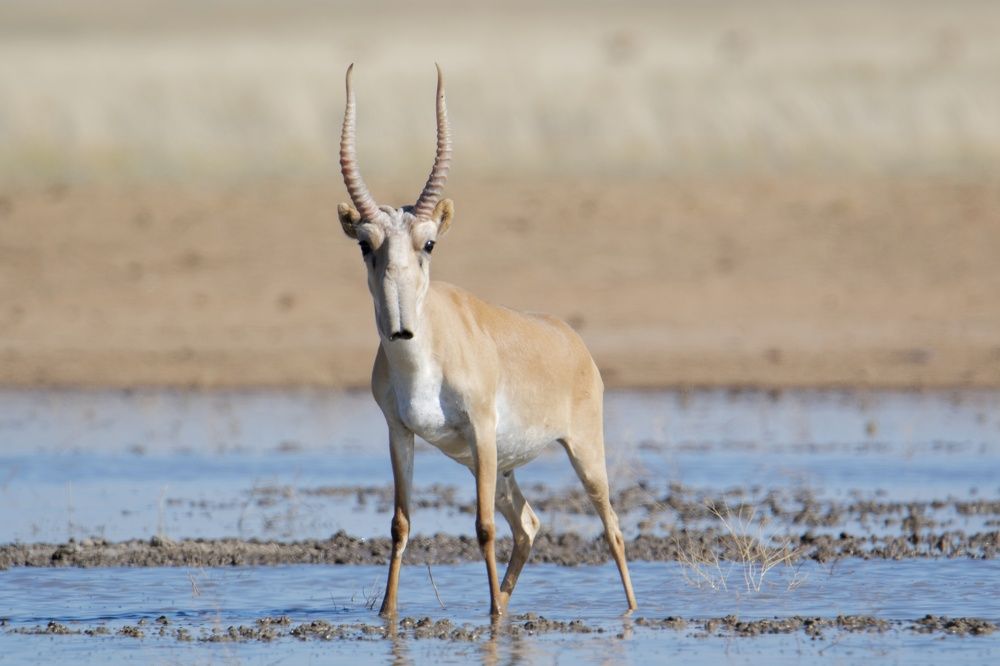 Photograph by Антон Громов