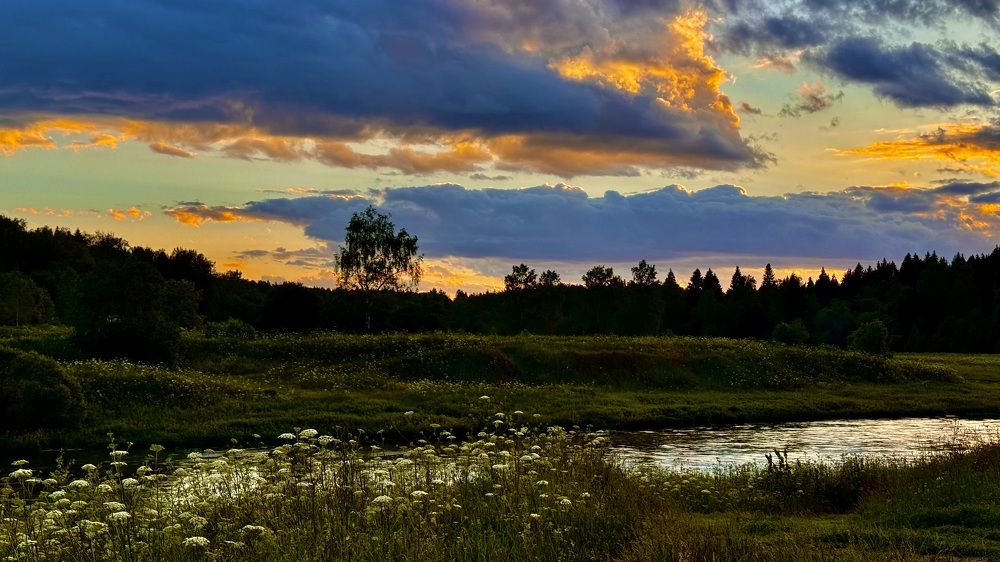 Photograph by Светлана Родионова