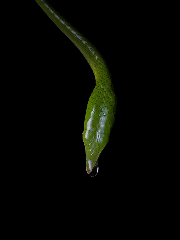 Photograph by Shajin Nambiar