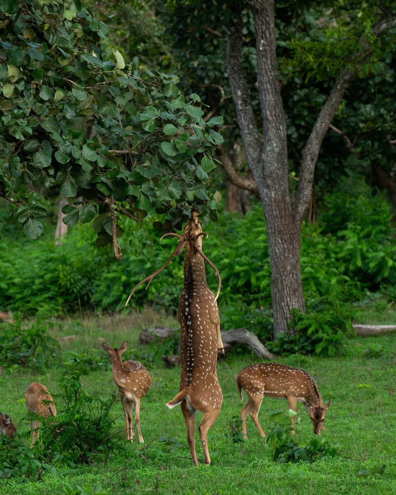 Фотография автора Anandhu M