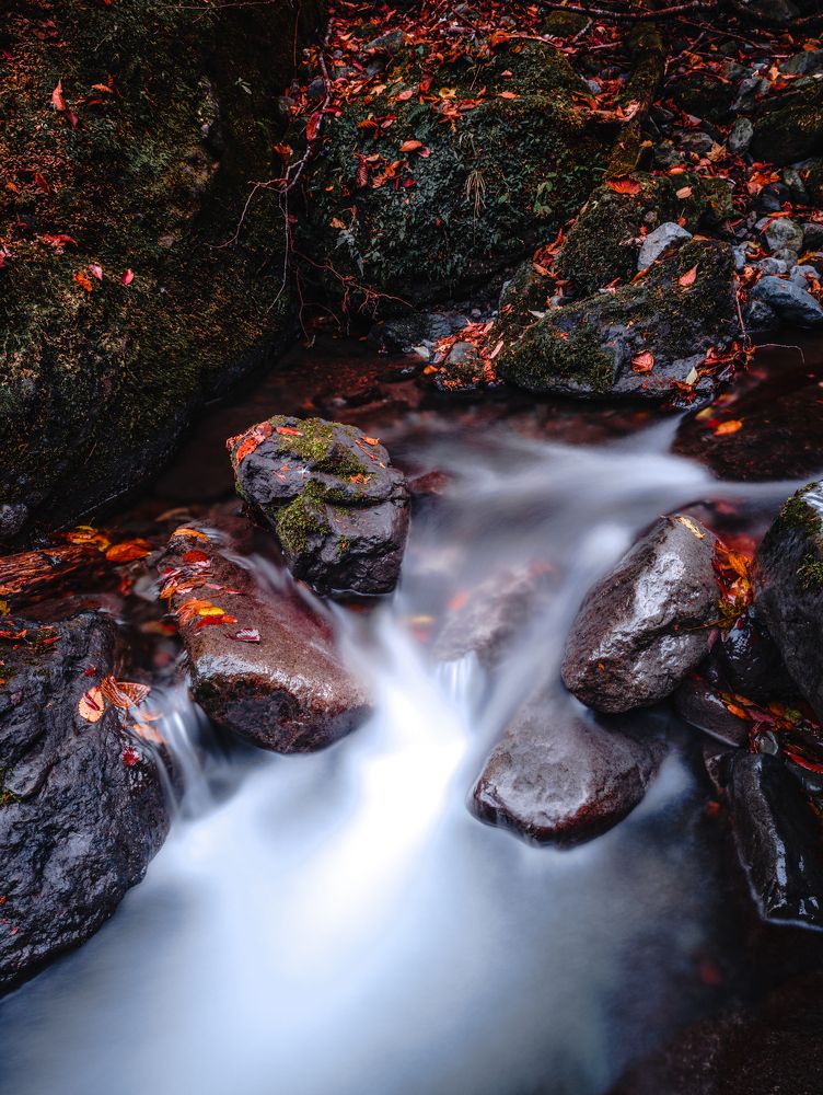 Фотография автора Uesan Aliace