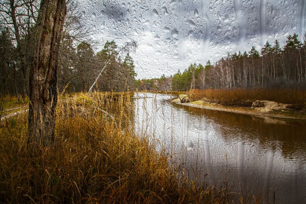 Photograph by Дмитрий Черепков