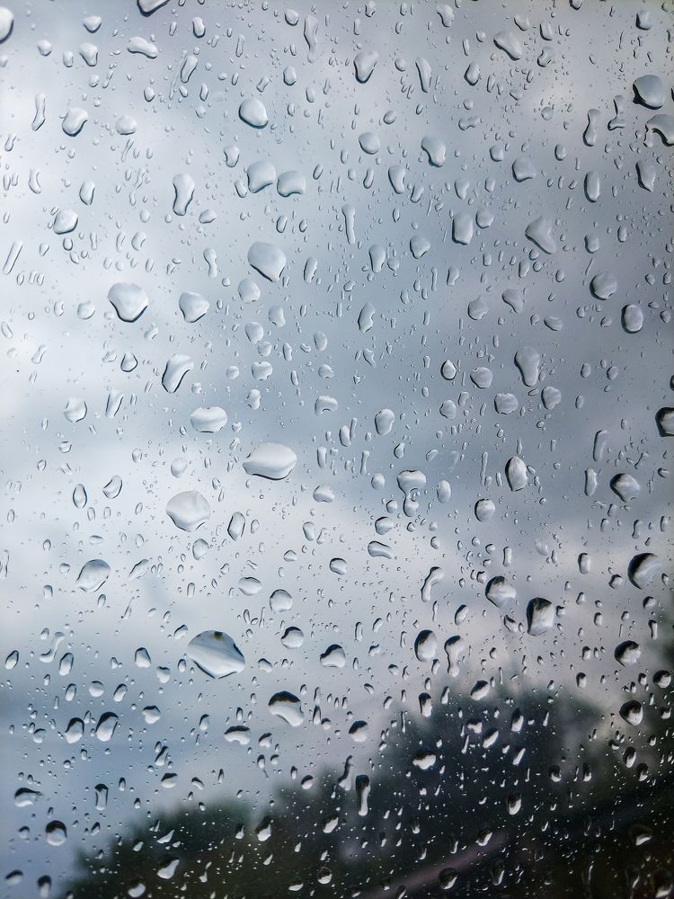 Photograph by Дарья Овсянникова