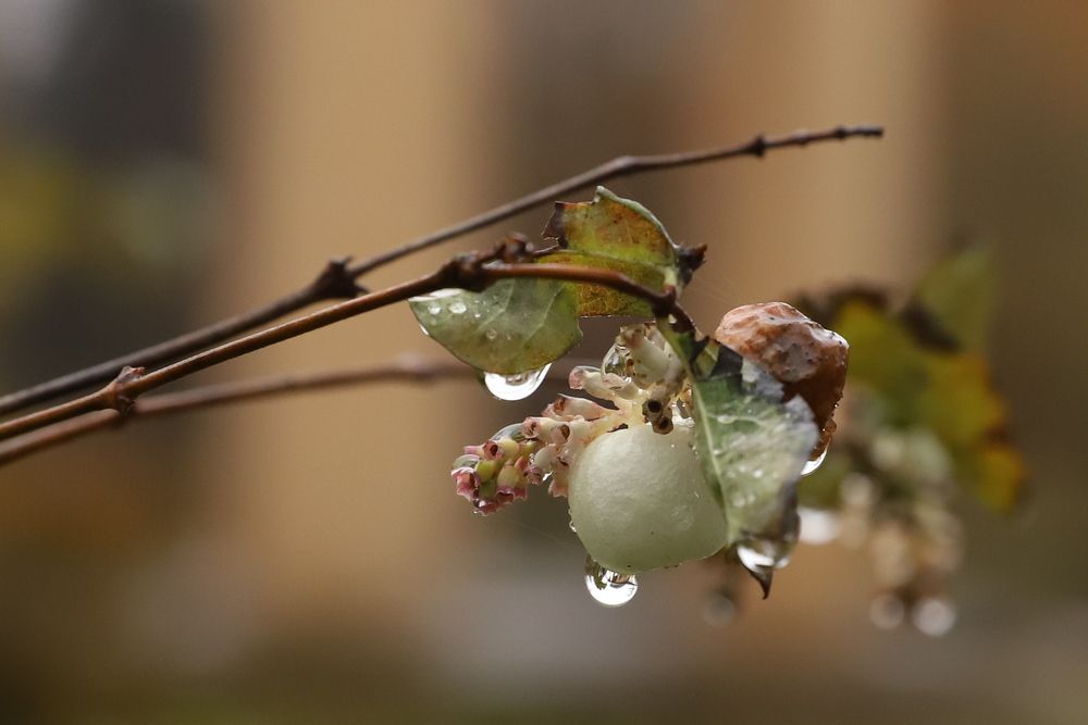 Photograph by елена